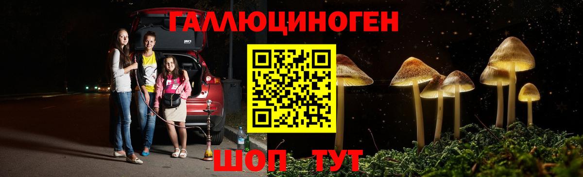Галлюциногенные грибы Psilocybine cubensis  где можно купить   Касимов  Вход с VPN  Галлюциногенные грибы Cubensis 